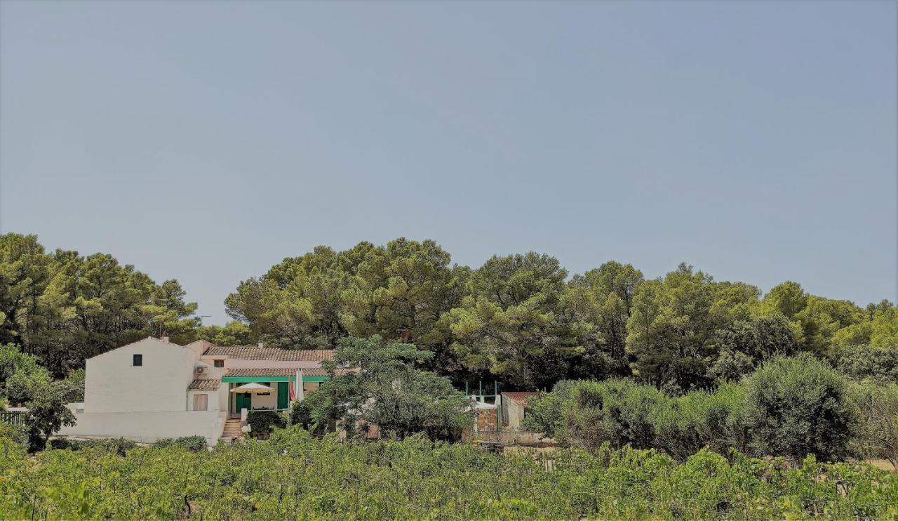 칼로포테 Cala Vinagra House B&B 외부 사진