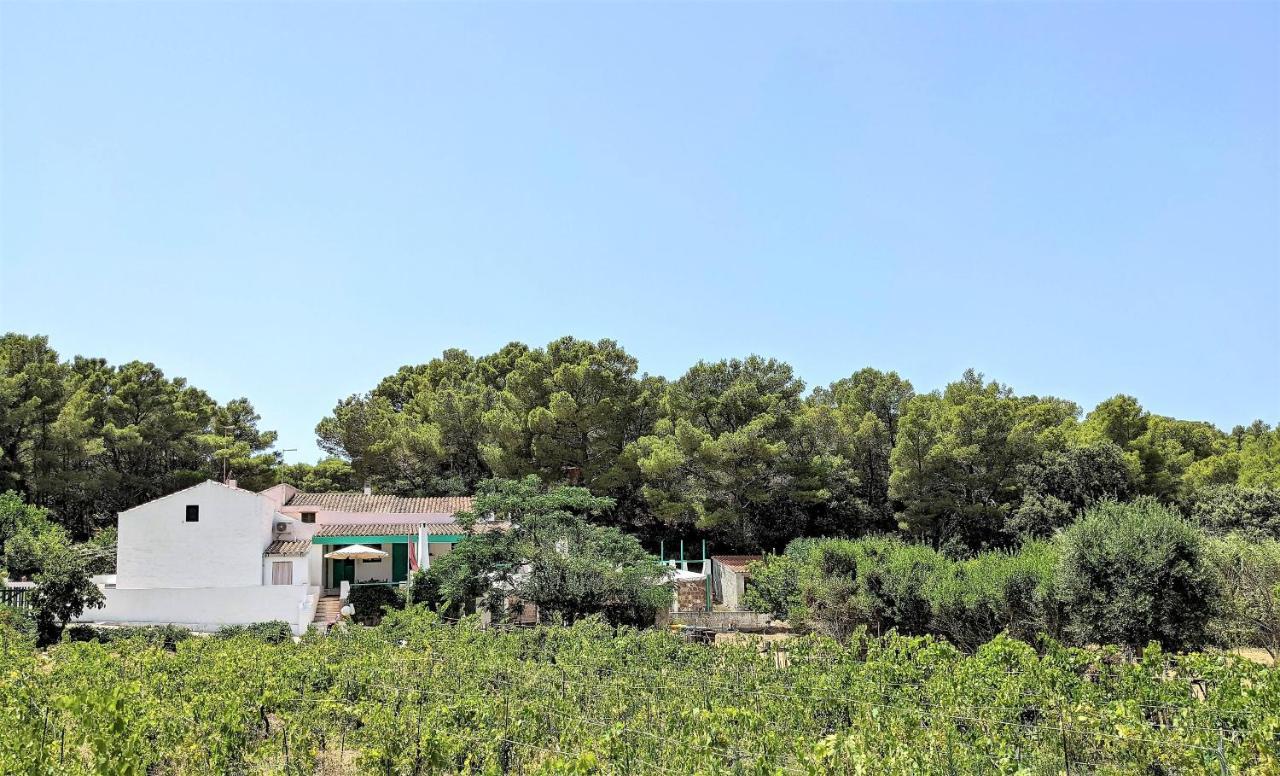 칼로포테 Cala Vinagra House B&B 외부 사진